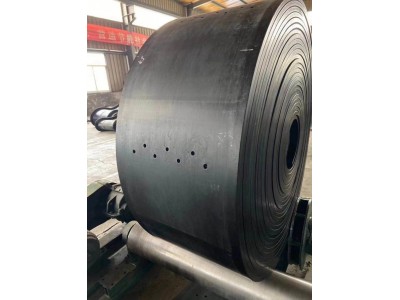 TDG提升机钢丝胶带 耐高温皮带 双层防撕裂网