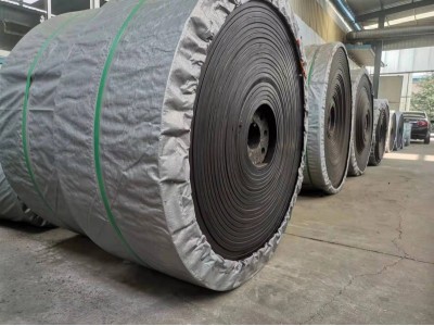 TDG提升机钢丝胶带 耐高温皮带 双层防撕裂网图4