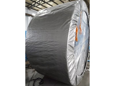 耐高温输送带 耐热橡胶带 300度EP聚酯皮带图4