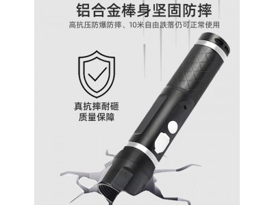 照明巡更棒电子巡更系统4G实时打点器图2