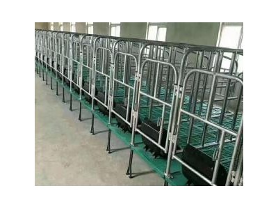 猪场限位栏热镀锌定位栏厂家直供图4