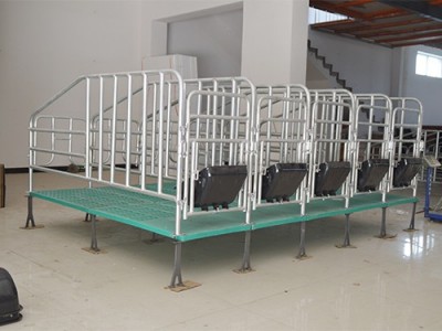 猪场限位栏热镀锌定位栏厂家直供图3