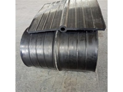 中埋式橡胶止水带加工定做 止水带安装 鑫运图2