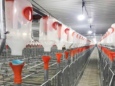 良诸养猪设备自动化喂料线