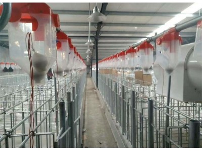 良诸养猪设备自动化喂料线图2