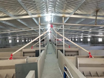 良诸养猪设备自动化喂料线图3