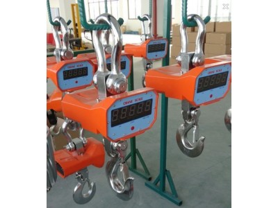 上海友中衡衡器厂电子吊秤