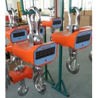 上海友中衡衡器厂电子吊秤