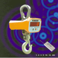 上海友中衡电子吊钩秤