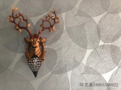 湘潭海吉布厂家/郴州家装生态刷漆壁纸供应图2