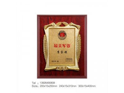 安徽奖牌*美军姿奖牌市消防评选表彰奖牌花框木牌制作厂家