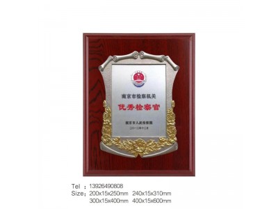 江苏奖牌市检察院表彰奖牌制作优秀检察官荣誉称号奖牌批发