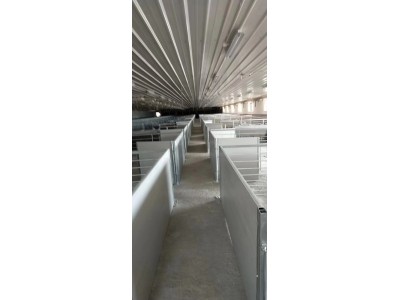 良诸猪场热镀锌育肥大栏图2