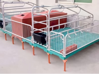 全复合母猪产床保育床规格齐全图2