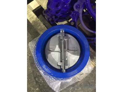 船用DIN型铸铁铸钢双瓣式止回阀蝶形止回阀图2