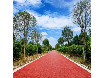 广元市 彩色透水混凝土材料 透水混凝土保护剂图1