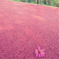 毕节市 彩色透水地坪 透水混凝土路面