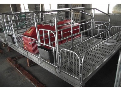 水泥漏粪板连体产床