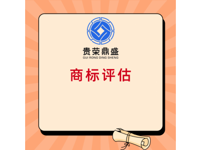 成都市知识产权证券化软著融资评估图4