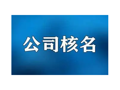 代理申请注册无区域信息咨询信息技术公司名称图1