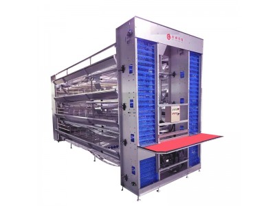 蛋鸡笼 小鸡养殖育雏笼 层叠式育雏育成笼养设备 远卓农牧