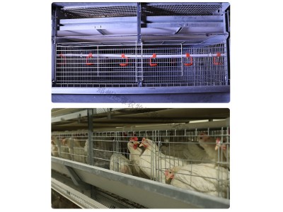 蛋鸡笼 小鸡养殖育雏笼 层叠式育雏育成笼养设备 远卓农牧图3