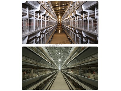 蛋鸡笼 小鸡养殖育雏笼 层叠式育雏育成笼养设备 远卓农牧图2