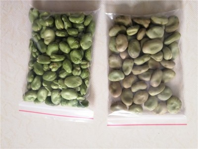 蚕豆脱皮机，去皮机图3