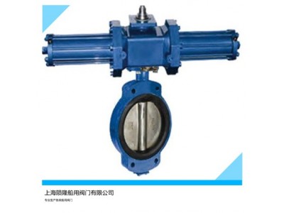 船用中心型动式蝶阀Q型GB3036-94图3
