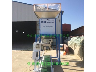 辽宁省葫芦岛市大米电动定量称重灌袋机质量好图1