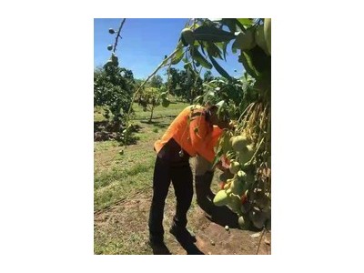 出国劳务可靠吗我想出国打工，长年办理合法出国打工图3