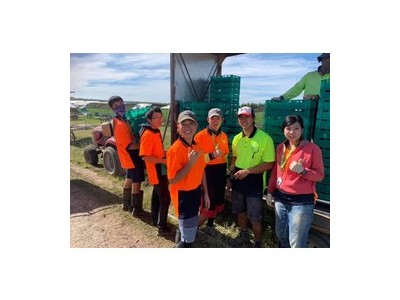 出国劳务加盟，江苏无锡出国劳务澳大利亚出国务工打工图3