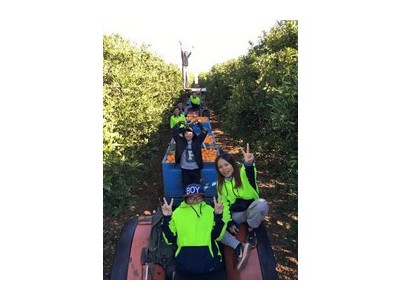 出国劳务加盟，江苏无锡出国劳务澳大利亚出国务工打工图4