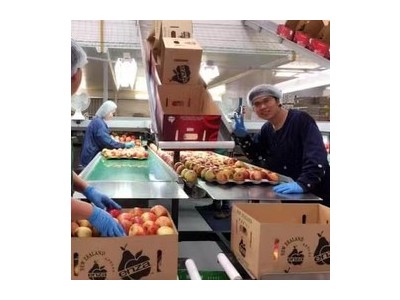 女性出国打工建议去哪个，日本劳务缝纫工3年45万正规签证图2