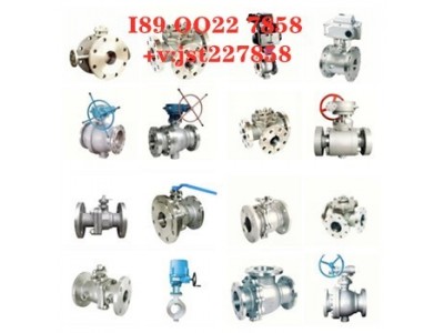 Q940Y电动Q640Y-16C/P/R动硬密封偏心半球阀