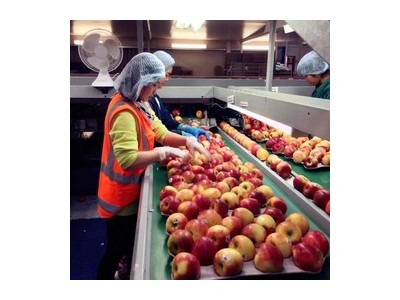 出国劳务可靠吗,我想出国打工,图2