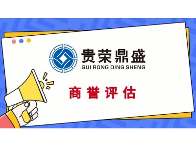 广东省河源市企业无形资产找一家企业资产价值专业评估更新图5