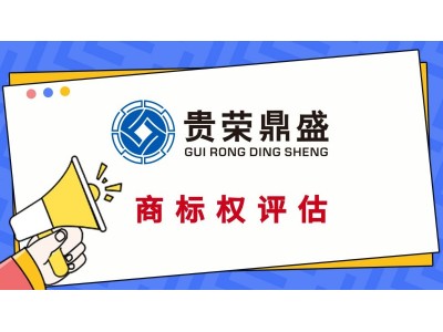 广东省河源市企业无形资产找一家企业资产价值专业评估更新图4