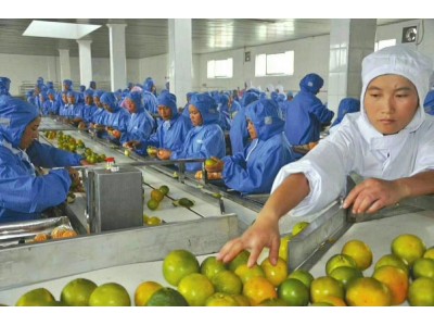 海外劳务急需大量水电工 瓦工 木工 包食宿,高薪