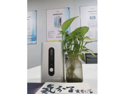 辽宁300流量吸氢机加盟图2