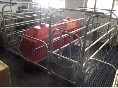 普通连体母猪产床