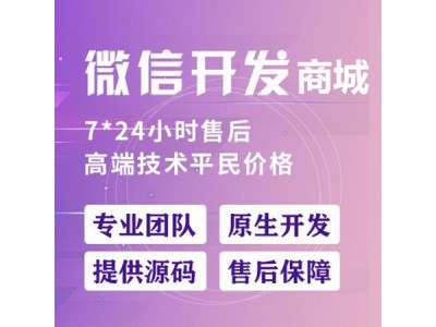 微商城系统定制开发,个性化设计免费试用,精准获客低成本运营图2