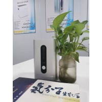 纯氢spe电解技术吸氢机厂家加盟