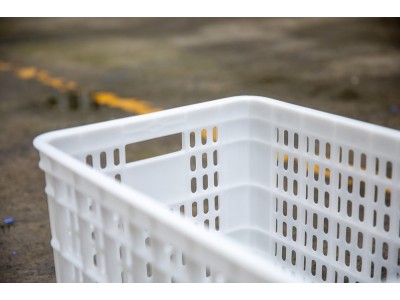 江苏白色加厚西红柿筐赛普塑胶筐厂家直销图4