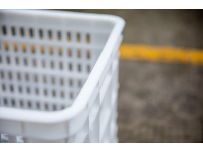江苏白色加厚西红柿筐赛普塑胶筐厂家直销图5