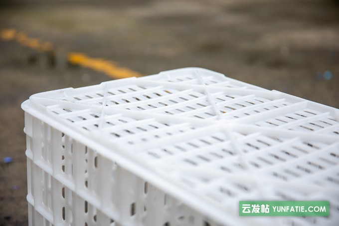 重庆白色加厚西红柿筐赛普塑胶筐厂家直销