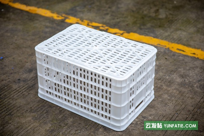 重庆白色加厚西红柿筐赛普塑胶筐厂家直销