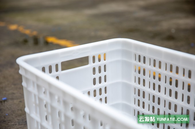 重庆白色加厚西红柿筐赛普塑胶筐厂家直销