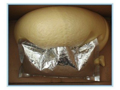 袋装马丽散封孔材料性能优良的封孔剂维护简单