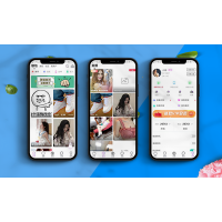 梦幻社交APP软件开发定制功能需求分销管理系统